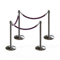 Montour Line Stanchion Post and Rope Kit Sat.Steel, 4 Crown Top 3 Purple Rope C-Kit-4-SS-CN-3-PVR-PE-PS